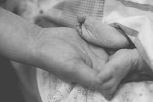 HannahPontillo_DexiPontillo_060118 (24)