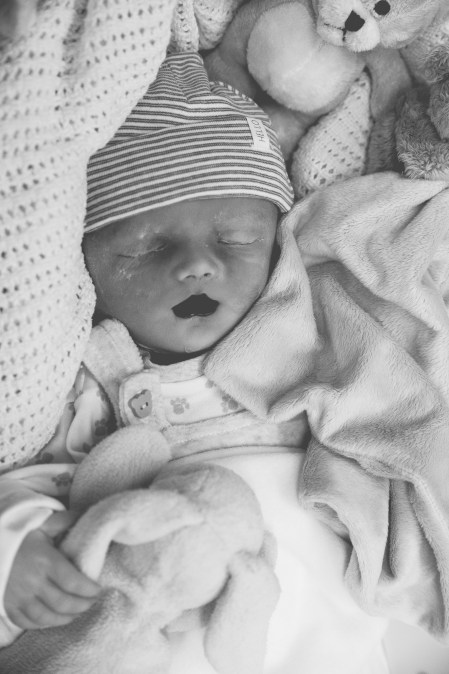 HannahPontillo_DexiPontillo_060118 (4)